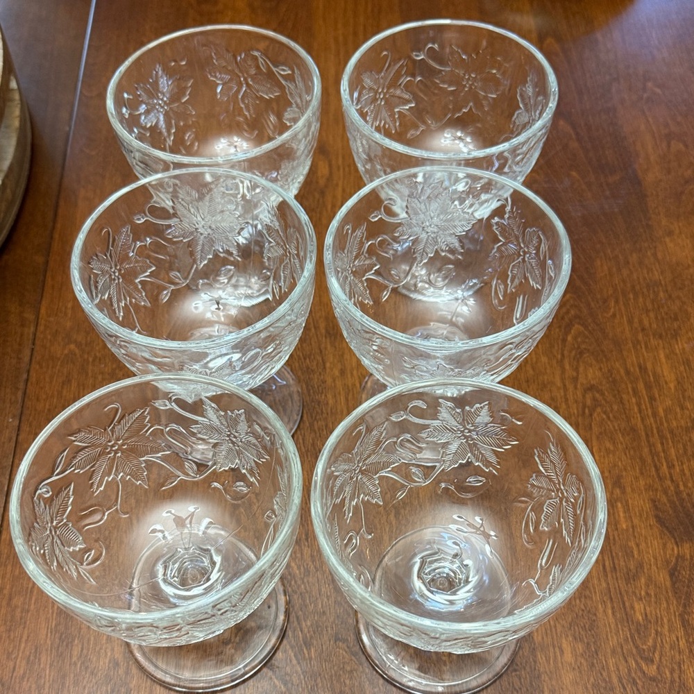 Princess House Etched Glass Goblet Set